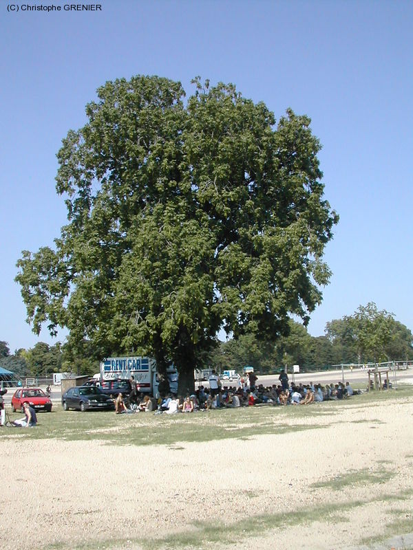 dscn4201.jpg