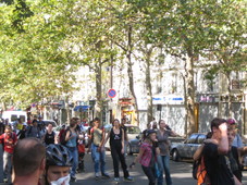 IMG_0072.jpg