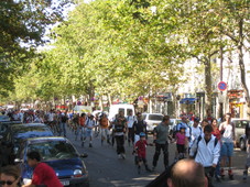 IMG_0073.jpg