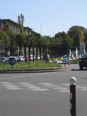 IMG_0080.jpg
